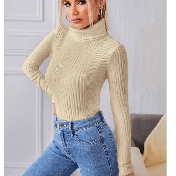 Solid Knit Turtleneck Top main image 1